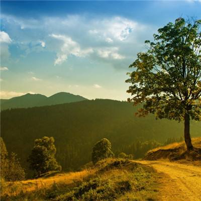 Bob体育登录入口APP下载